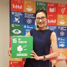 Boss level (2021) cast and crew credits, including actors, actresses, directors, writers and more. Interview With Michelle Yeoh Our Clothes Are A Mirror Reflection Of What Is Going On In Our Environment Un Today