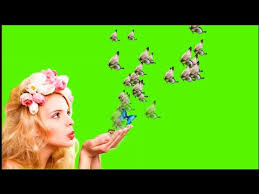 Double check the offer and any terms here first. Village Green Flowers Promo Code 08 2021