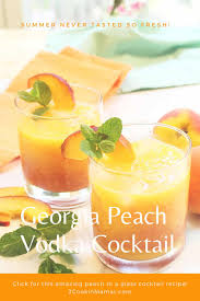Vodka's versatility lends itself to cocktails made using seasonal fruit like strawberries and blackberries,. Fresh Georgia Peach Vodka Cocktail 2 Cookin Mamas