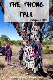 Pin On Queensland Travel Qld