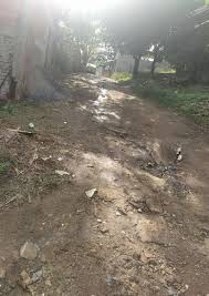 Mobilidade territorial e Covid-19