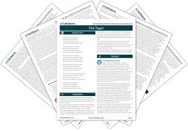 The Tyger Poem Summary And Analysis Litcharts
