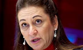 Brazil's 'chainsaw queen' appointed new agriculture minister