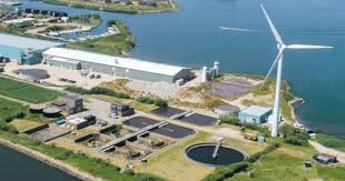 Fri, aug 27, 2021, 10:29am edt Atlantic Sapphire Reports Another Mass Mortality The Fish Site