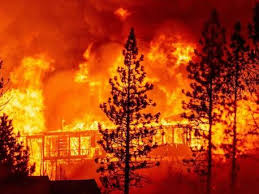 Asesinan a guarda de tres balazos en finca bananera. Los Incendios No Dan Tregua A California Osbodigital Todo Sobre Gestion Forestal