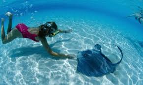 Resultado de imagen para Coffs costa australia