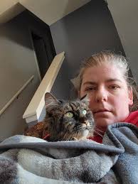 Tortoiseshell and Maine Coon Cat Personalities