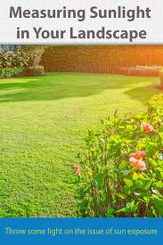 How To Measure Sunlight For Plants Landscape Sun Plants Full Shade Plants