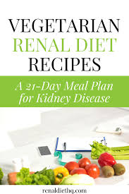 21 Day Vegetarian Meal Plan For Pre Dialysis Kidney Disease Renal Diet Menu Headquarters In 2020 Kidney Friendly Foods Renal Diet Recipes Healthy Kidney Diet