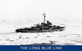 Image result for Fleet Blue 1990 US Government