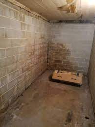 Aardwolf termite & pest control, inc. Foundation Repair Bessemer Al Aardwolf Termite Pest Control Services Inc