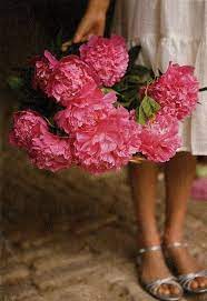 I Acaba De Recoger Flores Frescas Para Nuestra Msa Esta Noche I Have Fresh Picked Flowers For Our Table T Flowers Beautiful Flowers Beautiful Blooms