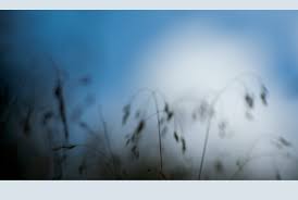 Peter stamms roman an einem tag wie diesem erscheint für gustav seibt nicht besonders anspruchsvoll. An Einem Tag Wie Diesem Foto Bild Natur Kreativ Aufnahmetechniken Natur Fine Art Bilder Auf Fotocommunity