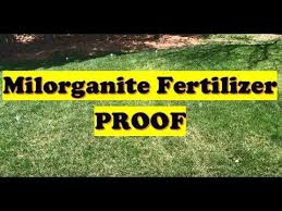 Milorganite 0636 organic nitrogen fertilizer, safer and slow release, for lawn and grass, granular nitrogen fertilizer 32 lbs (bundled with pearsons protective gloves). Pin On Lawn Care