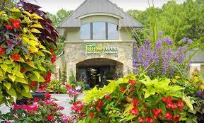 Family tree nursery provides landscaping, garden centers, greenhouses, tree service, flower planting, mulch deliveries, butterfly gardens, tree nursery, bedding plants, trees & shrubs to the overland park, ks area. The Family Tree Garden Center In Snellville Georgia Groupon
