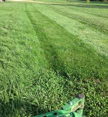 A striping kit is attached to the rear of the mower or right behind the mowing deck. 7 Perfect Lawn Ideas Lawn Lawn Striping Lawn Striping Kits