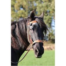 Check spelling or type a new query. Diego Western Side Pull Bitless Bridle With Reins