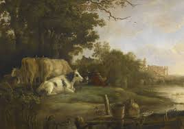 We did not find results for: Albert Cuyp Crotos