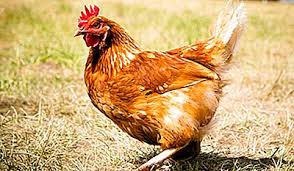 Ca toate fobiile, frica de cuvinte lungi variază în mod dramatic prin gravitatea și efectele suferinței asupra suferinței. Fobii NeobiÈ™nuite È™i NeobiÈ™nuite 2021