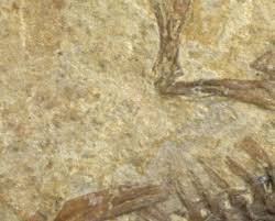 Réserve naturelle géologique du Luberon