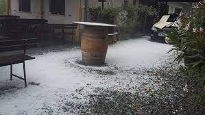 Conditions générales de vente et d'utilisation du site. Frisss Hu Minden Szombathelyrol Es Kornyekerol Jegeso