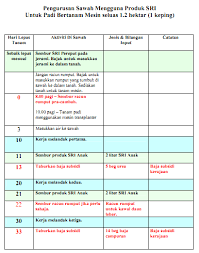 Di era teknologi pertanian yang makin maju teknologi budidaya padi sudah sangat beragam jenisnya. Manual Pengurusan Padi Tanam Mesin Ala Sri Weblog Padi Selangor Pertanian Selangor
