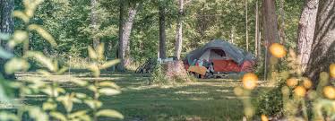 West virginia has many great koa locations koa campgrounds in west virginia. Camping And Campgrounds New River Gorge Cvb New River Gorge Cvb