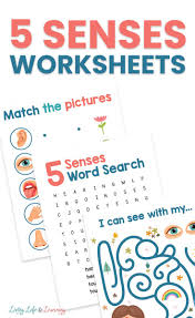 Of 5 senses coloring pages are a fun way for kids of all ages to develop creativity, focus, motor skills and color recognition. Fun 5 Senses Worksheets For Kids