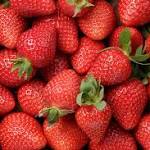 Ex-farm supervisor charged over Australia