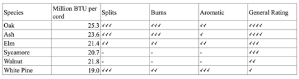 Should You Start Prepping Firewood In The Spring B H Chimneys