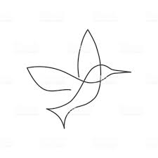 Doorlopende Lijn Vogel White Een Lijntekening Royalty Free Doorlopende Lijn Vogel White Een Lij Kolibrie Tekening Minimalistische Tekening Abstracte Tekeningen
