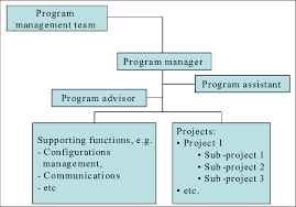 General Organization Chart Of The Case Program Download