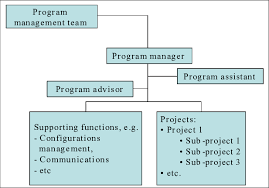 general organization chart of the case program download