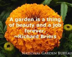 Requisites Of The Home Vegetable Garden Gardening Quotes Funny Garden Quotes Garden Quotes Signs