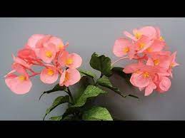 Abc Tv How To Make Dragon Wing Begonia Paper Flower From Crepe Paper Craft Tutorial Paper Flowers Craft Paper Flowers Paper Flower Video