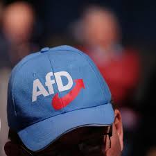 Jeder wähler hat zwei stimmen die politiker scheint es nicht zu kümmern, die würden sich wahrscheinlich auch bei einer. Afd In Sachsen Anhalt Landesvorstand Verwarnt Schiedsgerichtsprasident Peter Gunther Der Spiegel