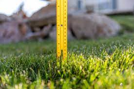 Check spelling or type a new query. How High Should Grass Be Cut The Exact Measurement