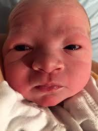 Ivy Connolly's Instagram, Twitter & Facebook