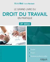 26 mai 2016 , comprendre loi travail pour mieux la combattre il faut continuer à amplifier la grève et les manifestations contre la loi travail. Le Grand Livre Du Droit Du Travail En Pratique Mon Livre