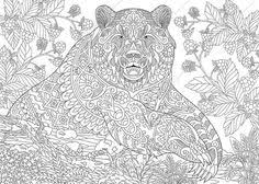 Die 51 Besten Bilder Von Mandala Tiere In 2017 Mandala