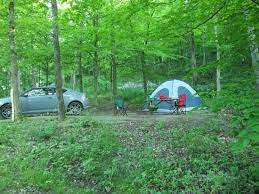 New york state park campsites, cabins, cottages, and yurts are currently opening as scheduled for the 2021 season. Wooded Campsite Picture Of Mohican Adventures Campground Cabins Loudonville Tripadvisor