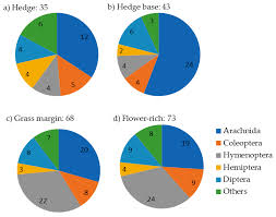 Want to know what it's like to be a cook's pest control technician? Insects Free Full Text Approaches To Identify The Value Of Seminatural Habitats For Conservation Biological Control Html