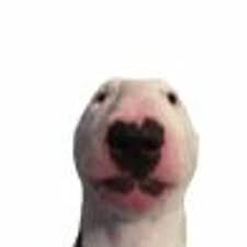 And has also been suspected of committing various war crimes in the second world war. Stream Walter The Dog Music Listen To Songs Albums Playlists For Free On Soundcloud