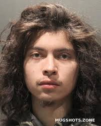 VELASQUEZ BUSTILLO EVER ABEL 03/14/2024