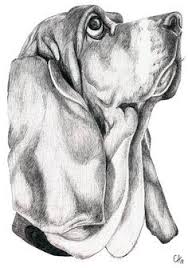 Realistic Ballpoint Pen Animal Drawings On Pinterest Ballpoint Dog Drawing Animal Drawings Pet Portraits
