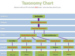 06 01 Classification Project Ppt Video Online Download