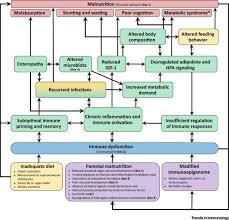 Here is the other hand of the immune response where inflammation is created by structures called receptors that are designed to recognize foreign antigens, foreign. Immune Dysfunction As A Cause And Consequence Of Malnutrition Sciencedirect