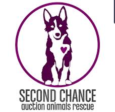 All members of the household where the dog is going to live must meet the dog. Second Chance Auction Animal Rescue Animal Shelters London On