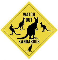 Outback Party Decorations Ideas Lovetoknow Australia Party Australian Party World Thinking Day