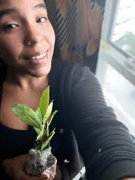 My Bay leaf laurels came in ❤️ 🌱 🪏 ￼